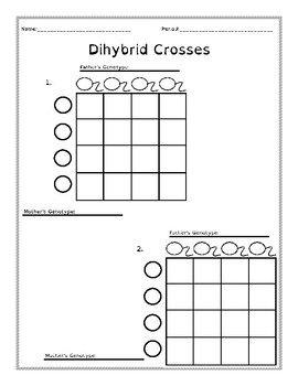 Dihybrid Cross Gamete Charts Dyslexia Blank Di-Hybrid 9:3 ...