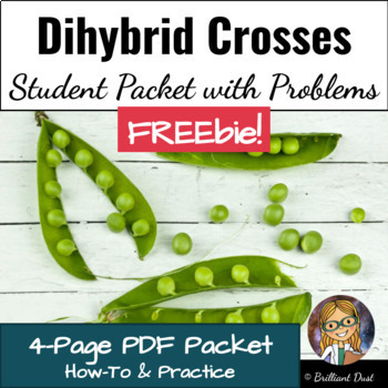 Preview of FREE Dihybrid Cross How-To and Genetics Practice Problems Worksheet