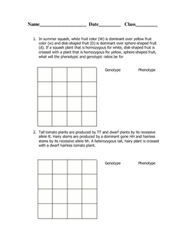 Dihybrid Cross Worksheet by Goby's Lessons | Teachers Pay ...
