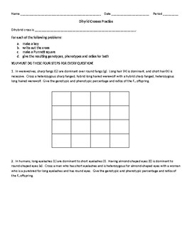 Dihybrid Crosses Practice by Get a Clue with Mrs Perdue | TPT