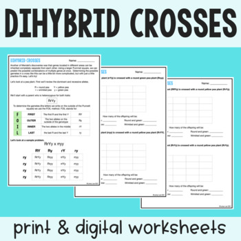 Preview of Dihybrid Crosses - Practice Worksheet