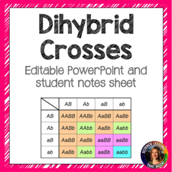 Preview of Dihybrid Crosses Punnett Square Lesson