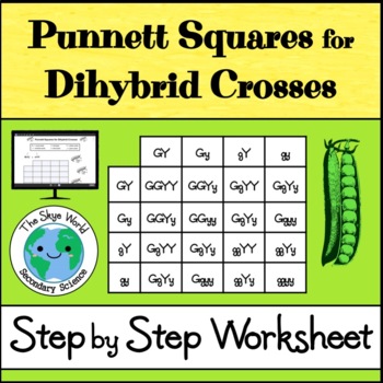 Preview of Punnett Squares for Dihybrid Crosses Worksheet