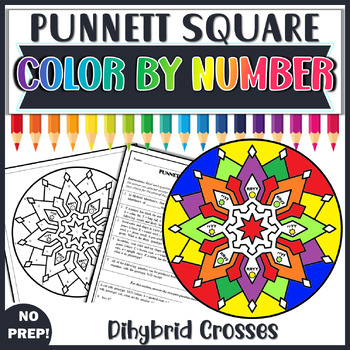 Dihybrid Crosses Punnett Squares Color By Number Biology Review Worksheet