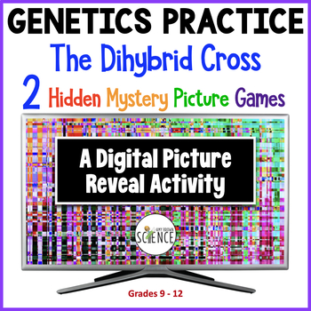Preview of Dihybrid Crosses Punnett Squares Hidden Picture Activities