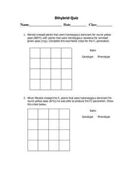 Dihybrid Punnett Square Practice : Dihybrid Cross Punnett Practice