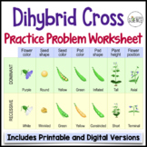 Dihybrid Crosses Punnett Squares Practice Worksheets