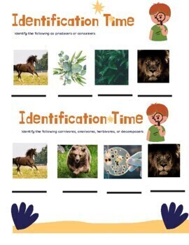 Preview of Dinner Time: Energy Flow in Ecosystems