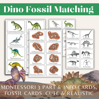 Preview of Dino Fossil and Skeleton Matching//Montessori 3 Part Cards//Info Cards