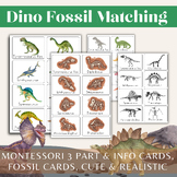 Dino Fossil and Skeleton Matching//Montessori 3 Part Cards