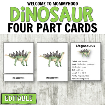 Preview of Dinosaur Montessori 3-Part Cards and Information Cards