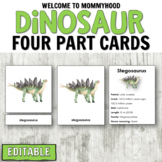 Dinosaur Montessori 3-Part Cards and Information Cards