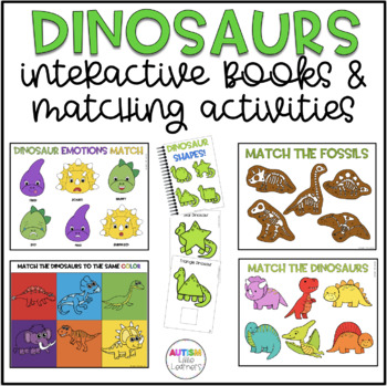 Preview of Dinosaur Activities For Special Education