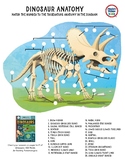 Dinosaur Anatomy Matching Worksheet from Merriam-Webster's