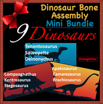 Preview of Dinosaur Bone Assembly Project Mini Bundle