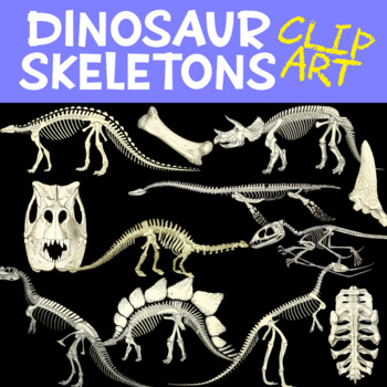 Preview of Dinosaur Bones Clipart Archaeology Fossils