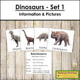Dinosaur Cards - Information Cards & Picture Cards (Set 1)