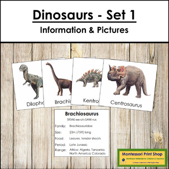 Preview of Dinosaur Cards - Information Cards & Picture Cards (Set 1)