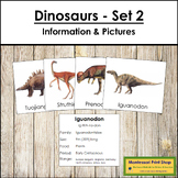 Dinosaur Cards - Information Cards & Picture Cards (Set 2)