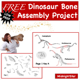 Dinosaur Dig FREE Example-MidnightStar