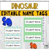Dinosaur Editable Printable Table Name Tags for Preschool 