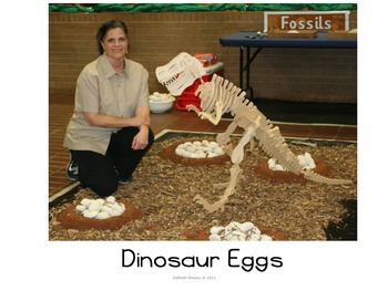 Preview of Dinosaur Eggs Powerpoint Presentation