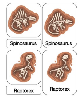 Preview of Dinosaur Fossil 3 Part Card