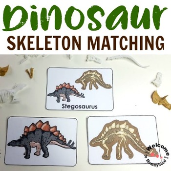 Preview of Dinosaur Fossil Matching: for Montessori or Science Centers