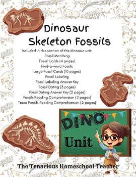 Preview of Dinosaur Fossils Worksheets Packet