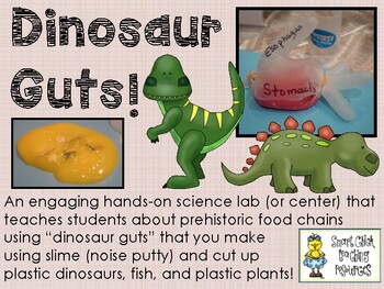 Preview of Dinosaur Guts! ~ A Hands-On Science Activity on Dinosaurs and Food Chains