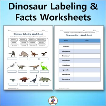 Preview of Dinosaur Labeling & Facts Worksheets - Science
