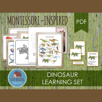 Preview of Dinosaur Learning Set ✦ Montessori-Inspired Education Printable