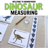 Dinosaur Measuring for Preschool or Montessori Activities