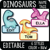 dinosaur name tag teaching resources teachers pay teachers