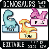 Dinosaur Name Tags, Dinosaurs Classroom Decor, Dinosaur Cu