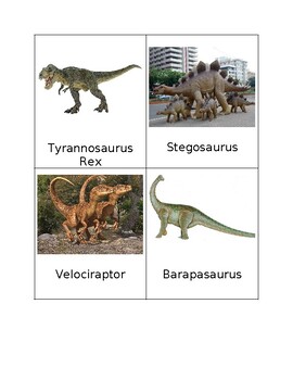 Preview of Dinosaur Nomenclature Cards