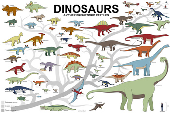 Dinosaur Poster by BioArt