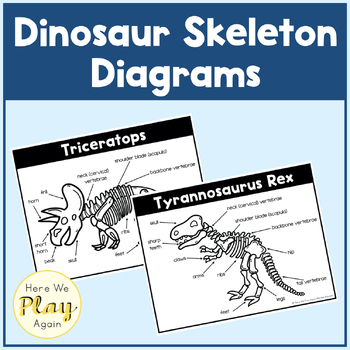 Preview of Dinosaur Skeleton Diagrams | Inquiry | Label Parts of a Dinosaur
