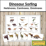 Dinosaur Sorting - Herbivores, Carnivores & Omnivores