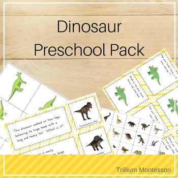 Preview of Dinosaur Theme Preschool and PreK Skills