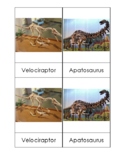 Dinosaur Toob 3-Part Cards