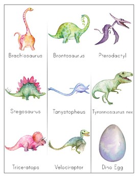 Preview of Dinosaur Vocabulary Cards