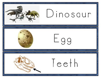 Preview of Dinosaur Word Wall and Vocabulary