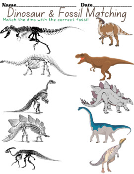Preview of Dinosaur and Fossil Matching Activity