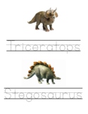 Dinosaur names tracing pages with pictures. 5 pages, 9 words.