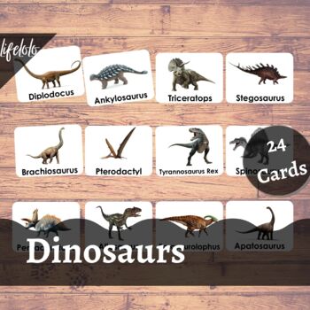 Preview of Dinosaurs Flash cards | Montessori cards | 24 Flash Cards | Learn Dinosaurs