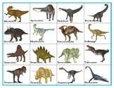 Dinosaurs :  Mini Shadow Matching Cards