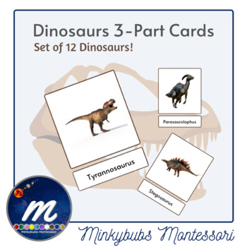 Preview of Dinosaurs Montessori 3 Part Cards Set of 12