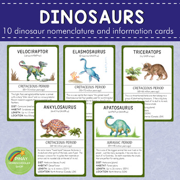 Preview of Dinosaurs Montessori 3 Part Cards and Information Cards