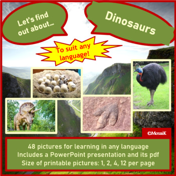 Preview of Dinosaurs Picture cards Photos Exploring